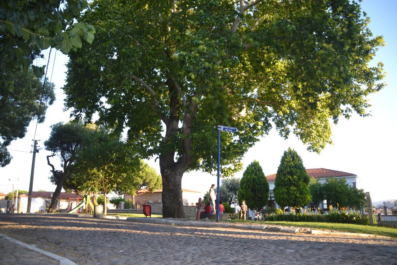 Elaia Hotel Bergama Kültér fotó