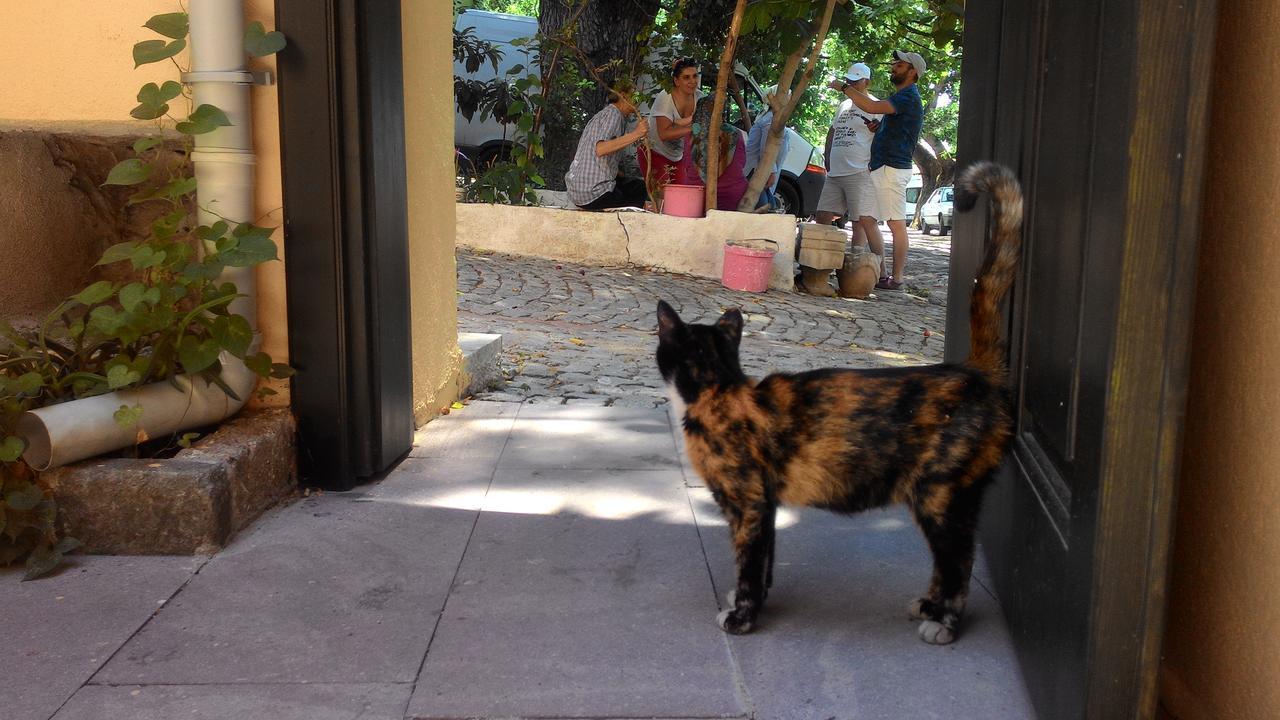 Elaia Hotel Bergama Kültér fotó